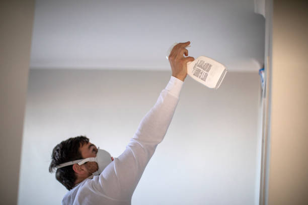 Best Mold Cleaning Services  in Woodsville, NH