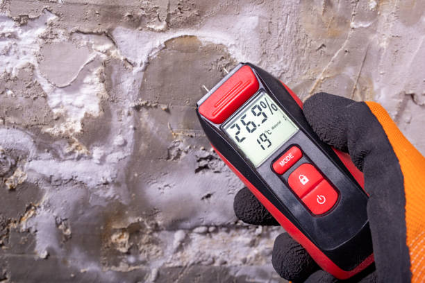 Best Attic Mold Removal  in Woodsville, NH